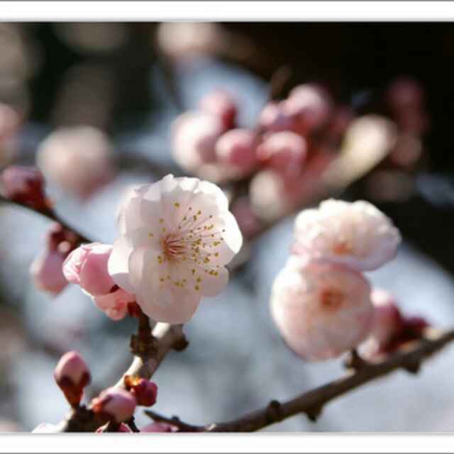 风轻云淡              