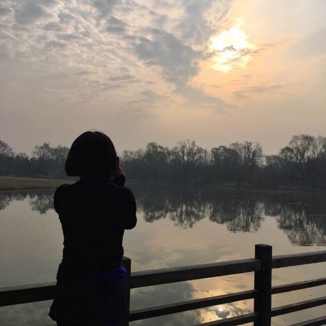 面朝大海             